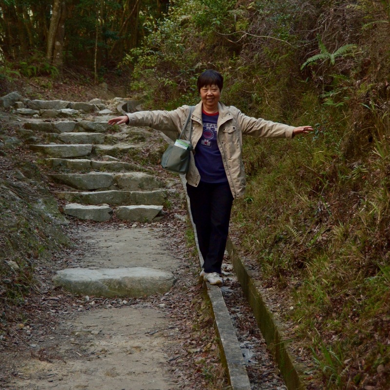 香港大嶼山昂坪